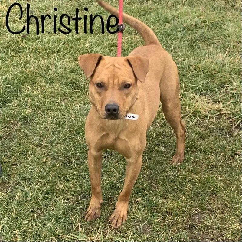 Christine thumbnail 2