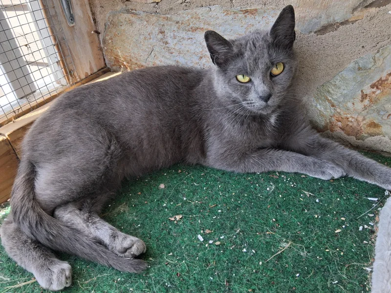 Montreal:indooroutdoor