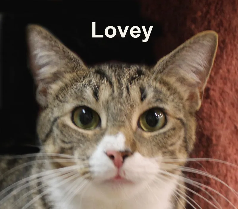 Ghost & Lovey Gra. thumbnail 3