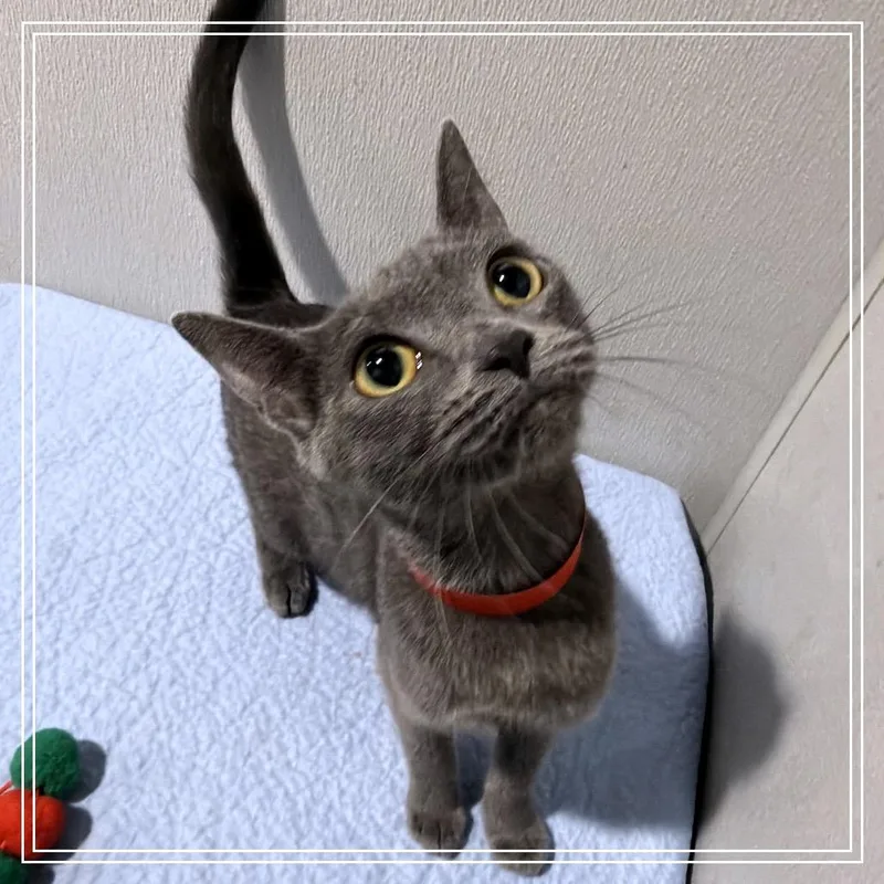 Mimi thumbnail 2