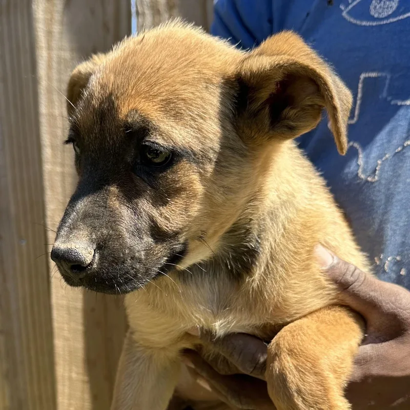 Dorthy  Local April thumbnail 2