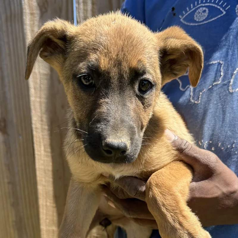 Dorthy  Local April thumbnail 3