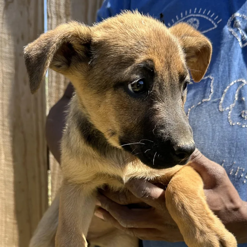 Dorthy  Local April thumbnail 4