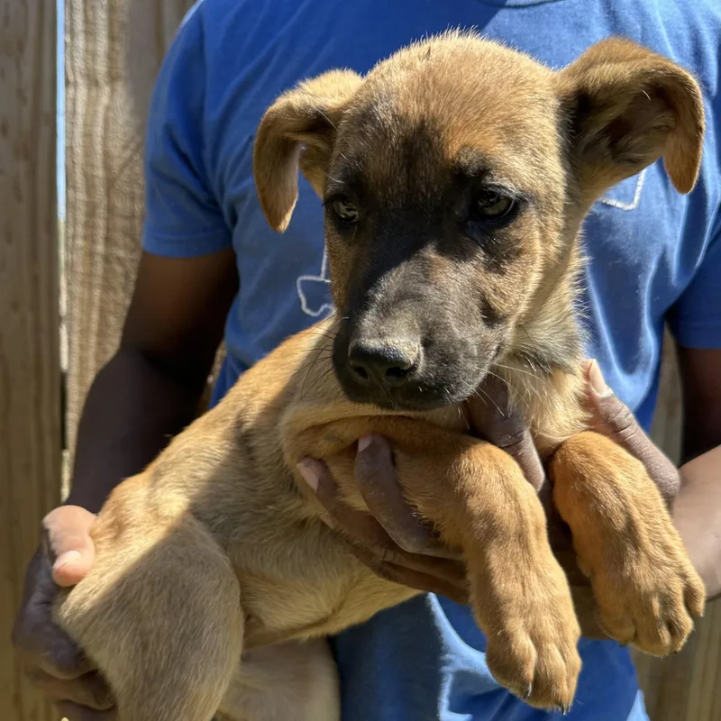 Dorthy  Local April thumbnail 5