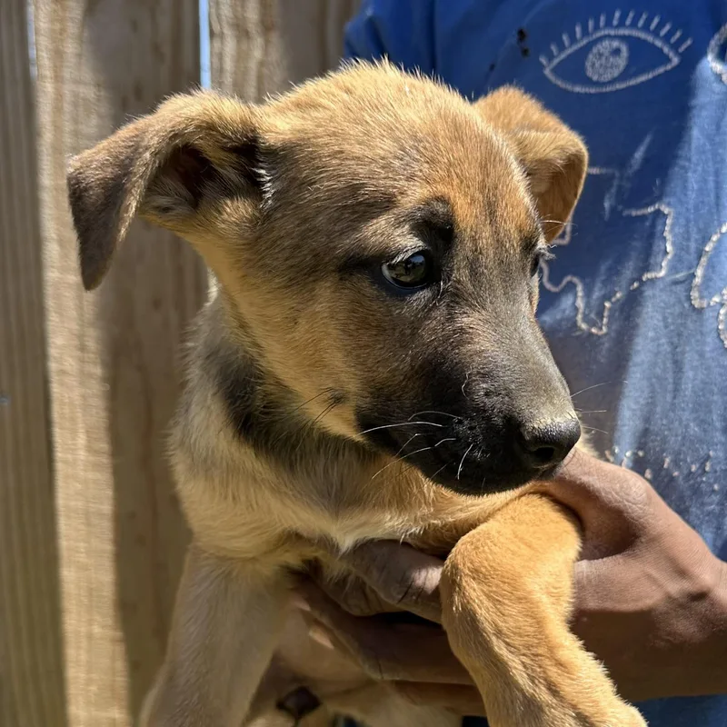 Dorthy  Local April thumbnail 6