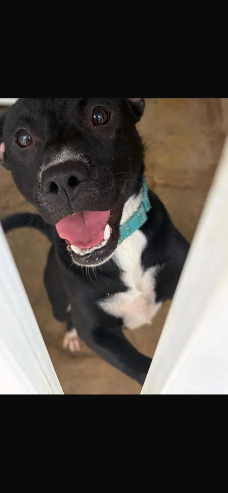 Astro