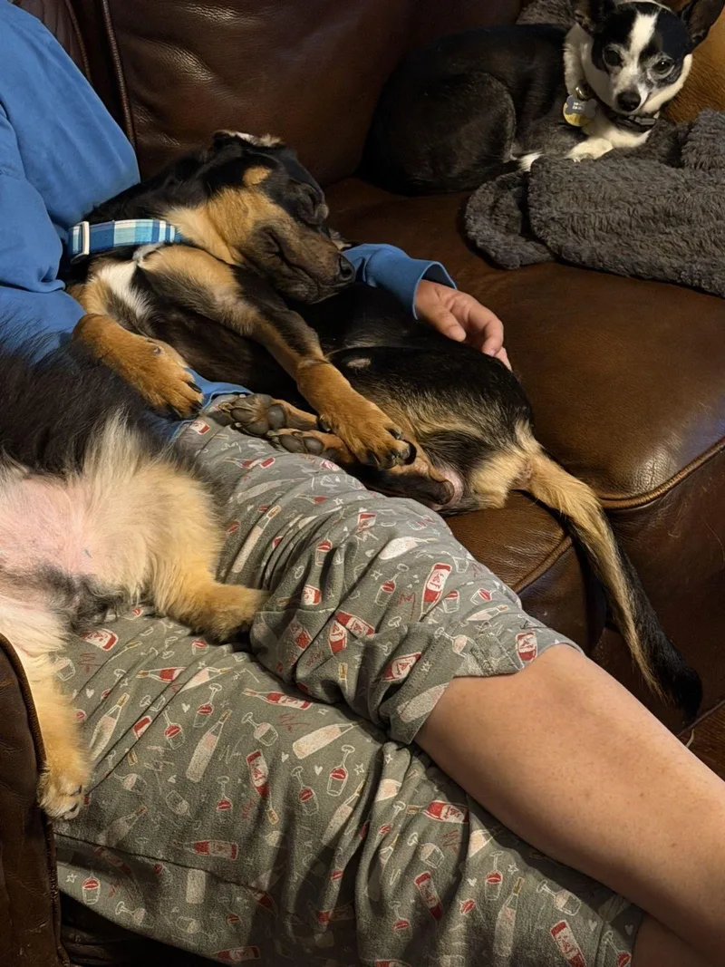 Archie Austin thumbnail 2