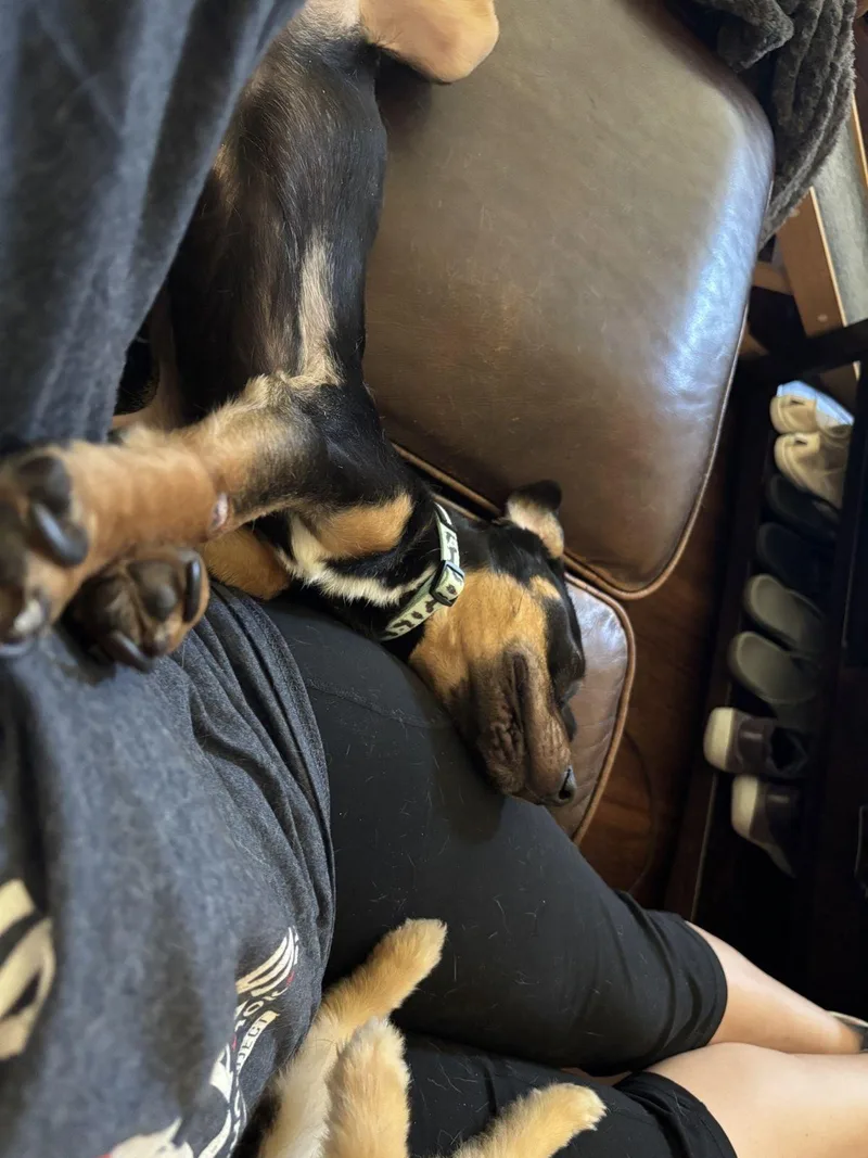 Archie Austin thumbnail 3