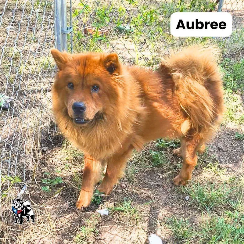 Aubree thumbnail 2