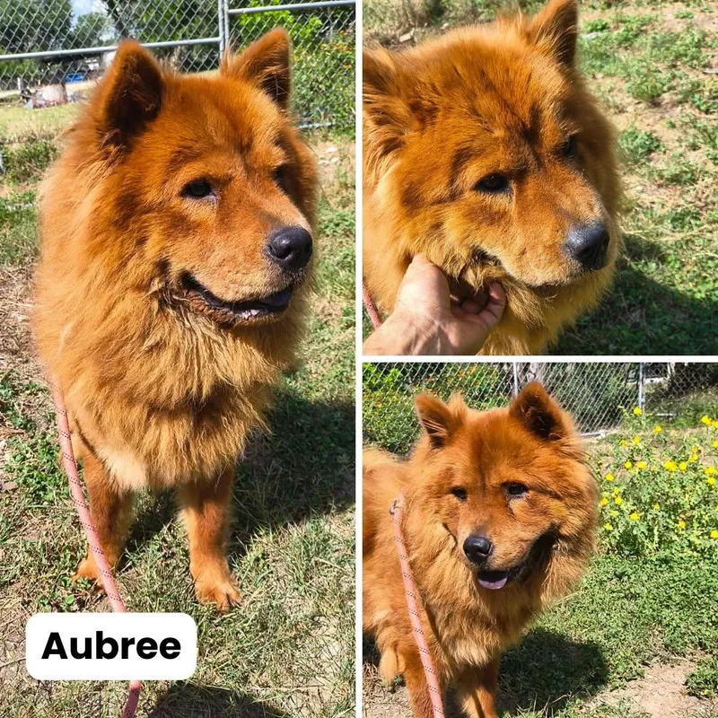 Aubree thumbnail 3