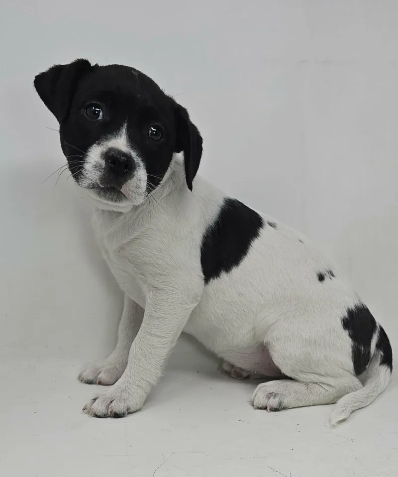 Eurydice thumbnail 2