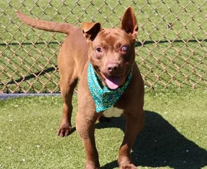 Jack Jack thumbnail 2