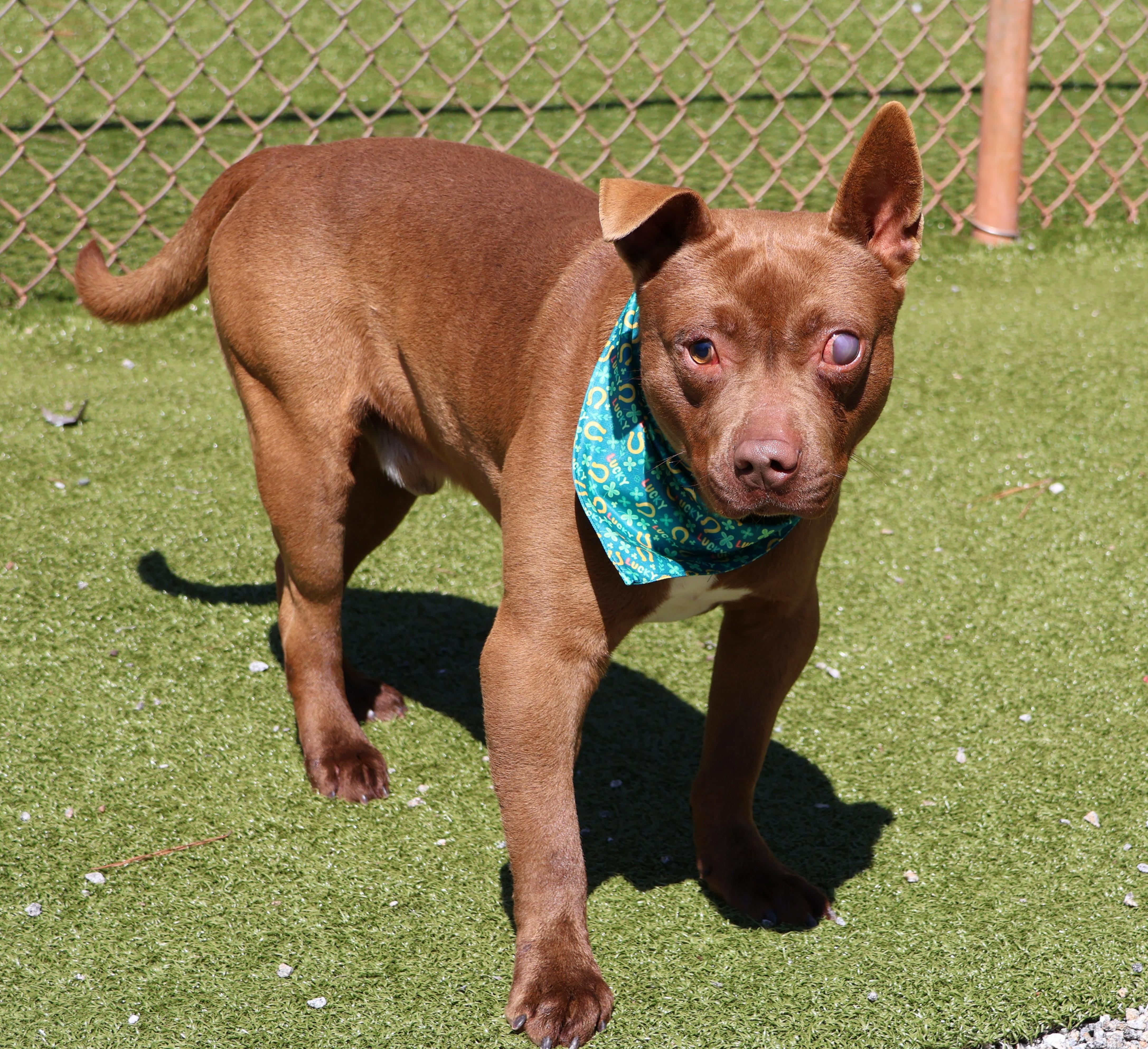 Jack Jack thumbnail 3