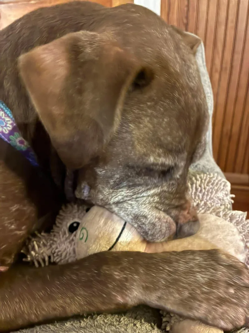 Molly thumbnail 4