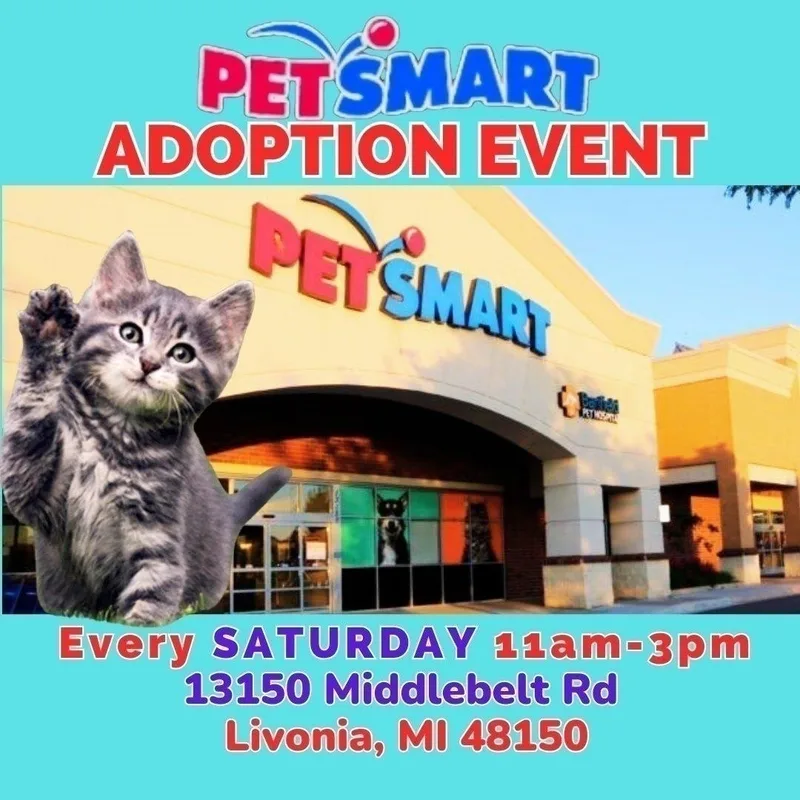 George @ Livonia Petsmart thumbnail 3