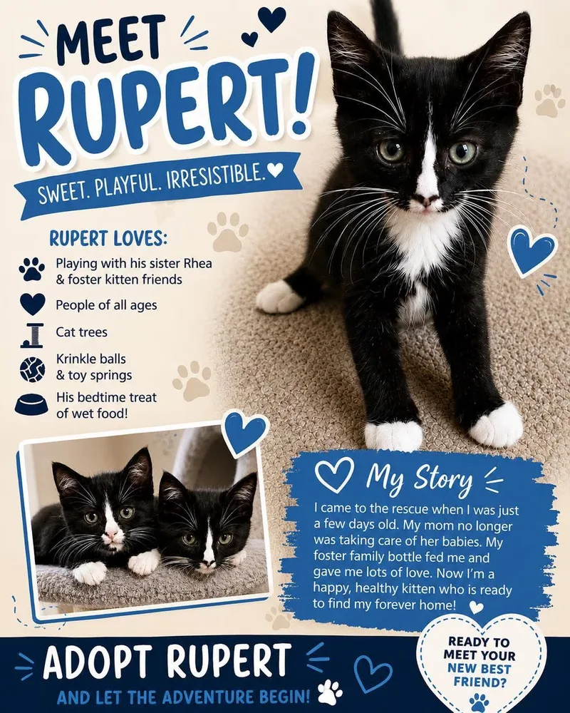 Rupert thumbnail 2