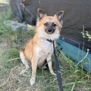 Sam