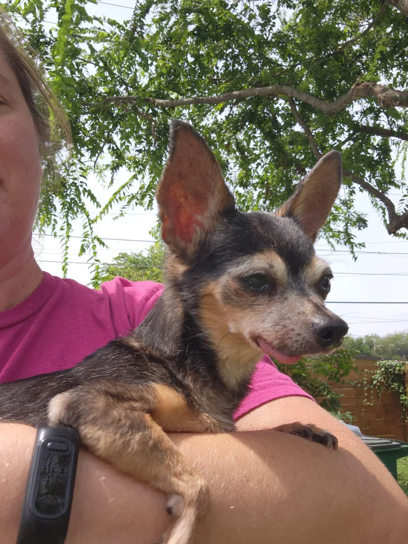 Lucille thumbnail 3
