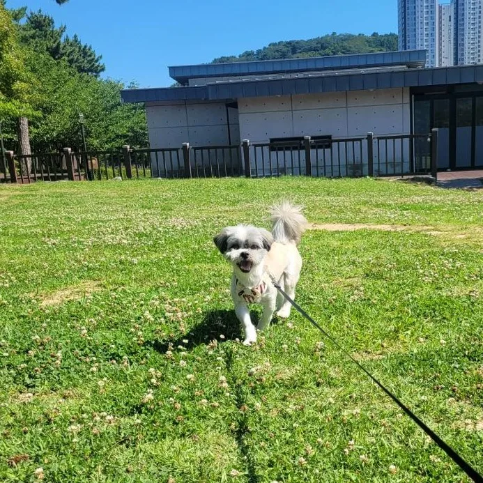 Bentley" thumbnail 4