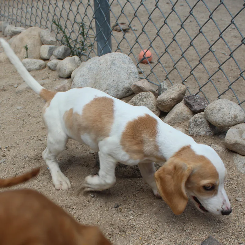 Maggie thumbnail 6