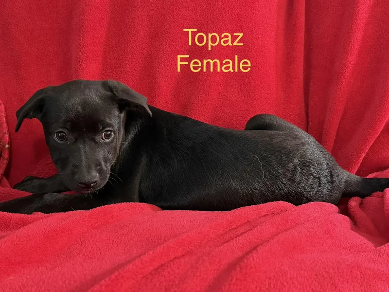 Topaz