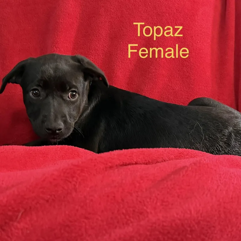 Topaz thumbnail 2