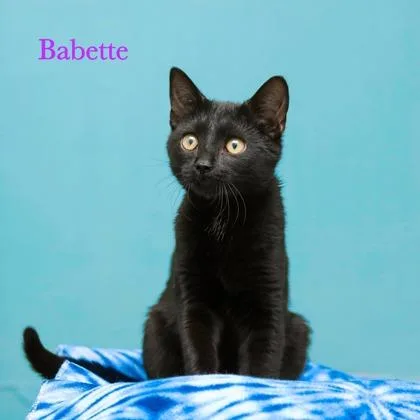 Babette