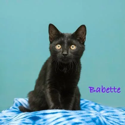 Babette thumbnail 2