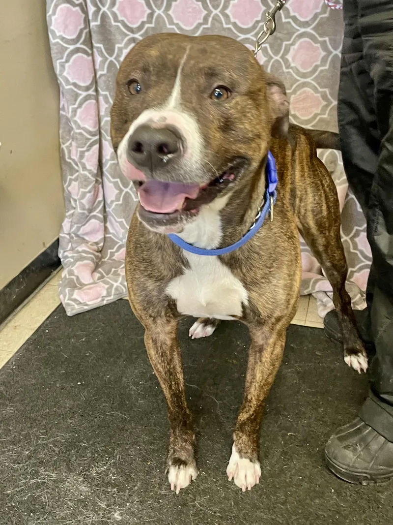 Bruce Lee thumbnail 2