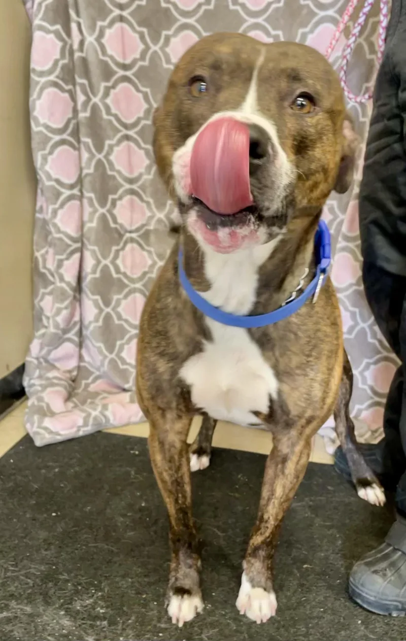 Bruce Lee thumbnail 3