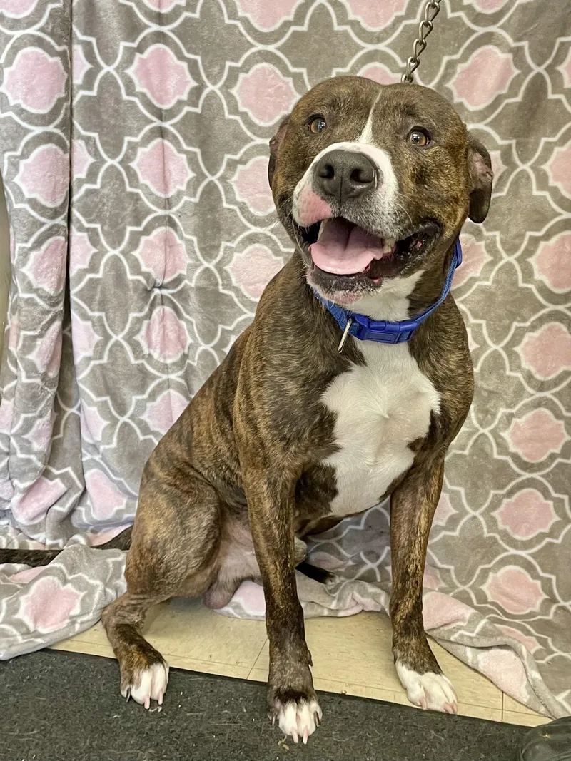 Bruce Lee thumbnail 4