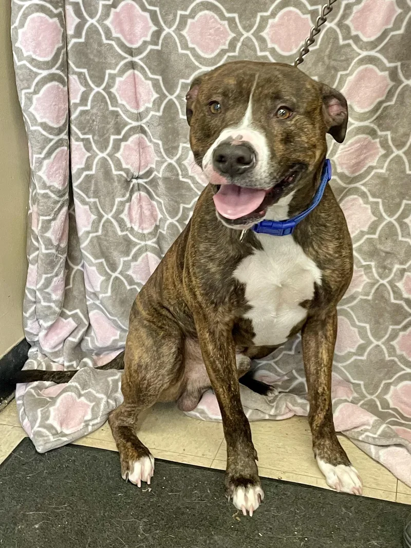 Bruce Lee thumbnail 5