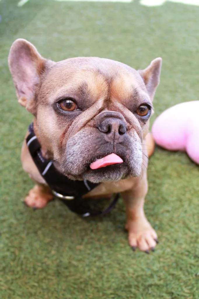 Chit Chat Special Needs thumbnail 4