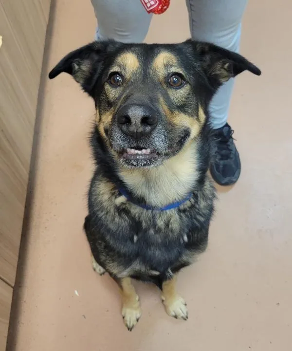 Zeke