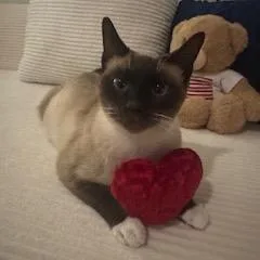Lola thumbnail 4