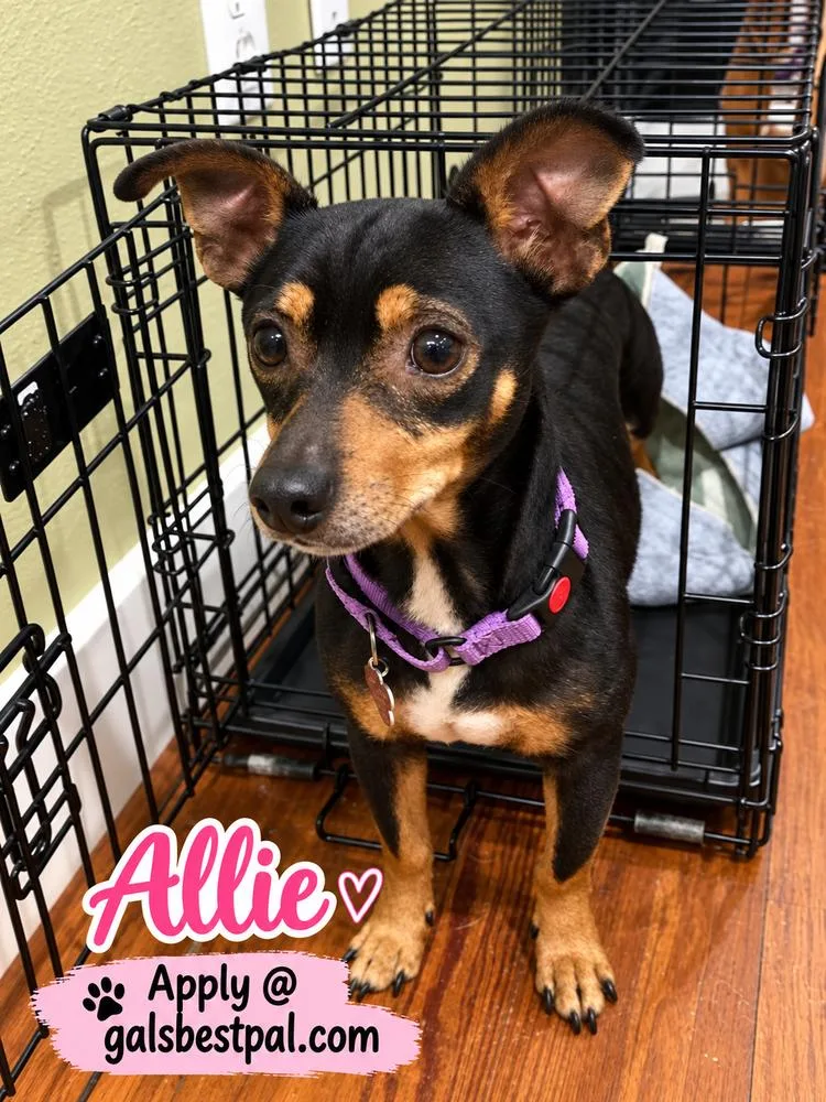 Allie