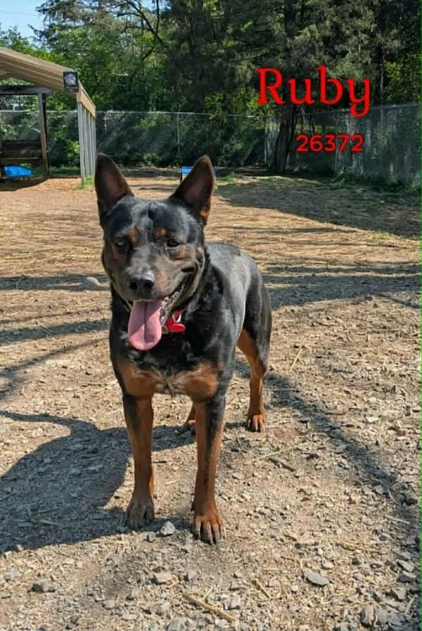 Ruby