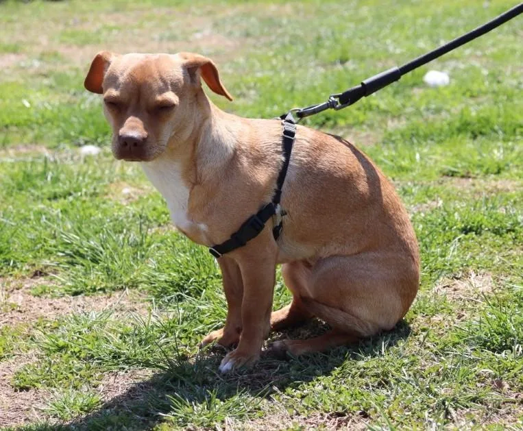 Patsy Cline thumbnail 5