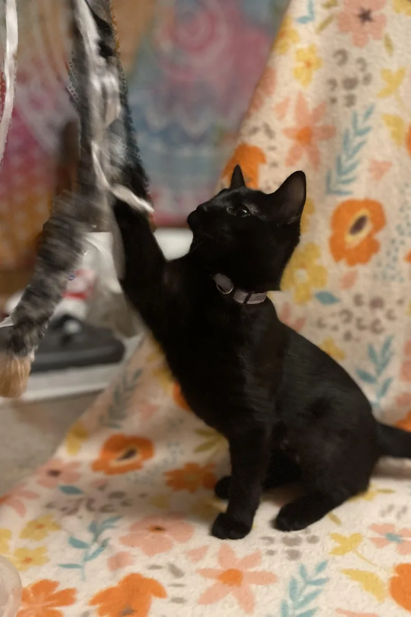 December thumbnail 2