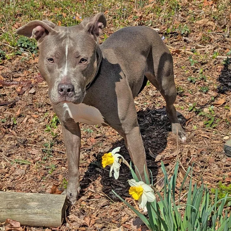 Butterfly In The Sky