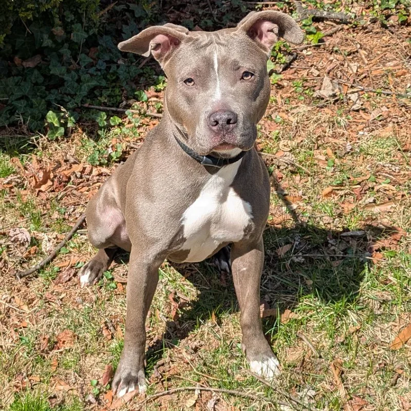 Butterfly In The Sky thumbnail 4