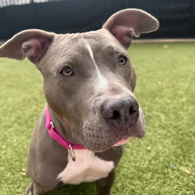 Butterfly In The Sky thumbnail 5