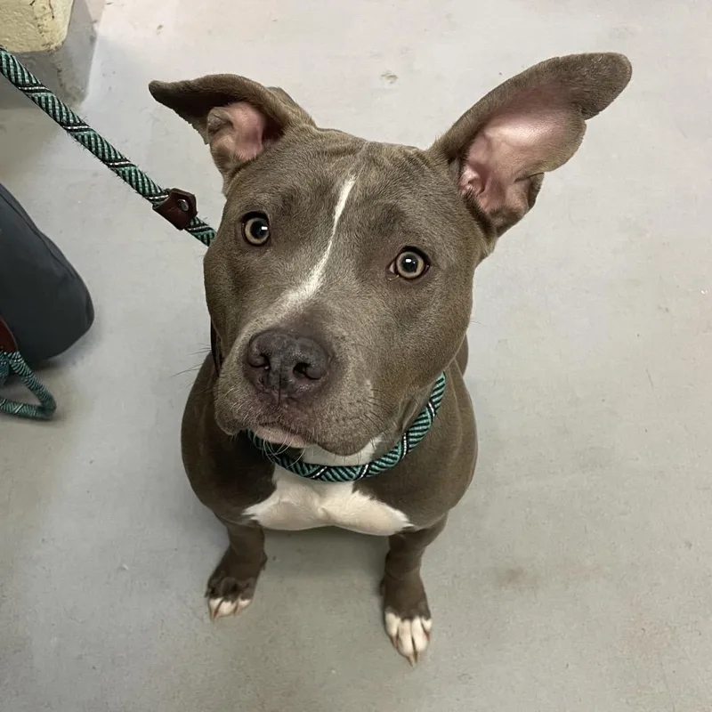 Butterfly In The Sky thumbnail 6