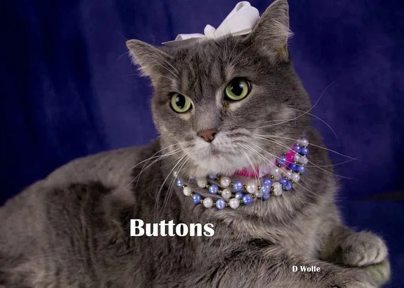 Buttons thumbnail 2