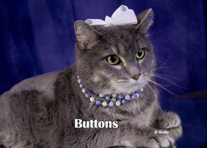 Buttons thumbnail 3