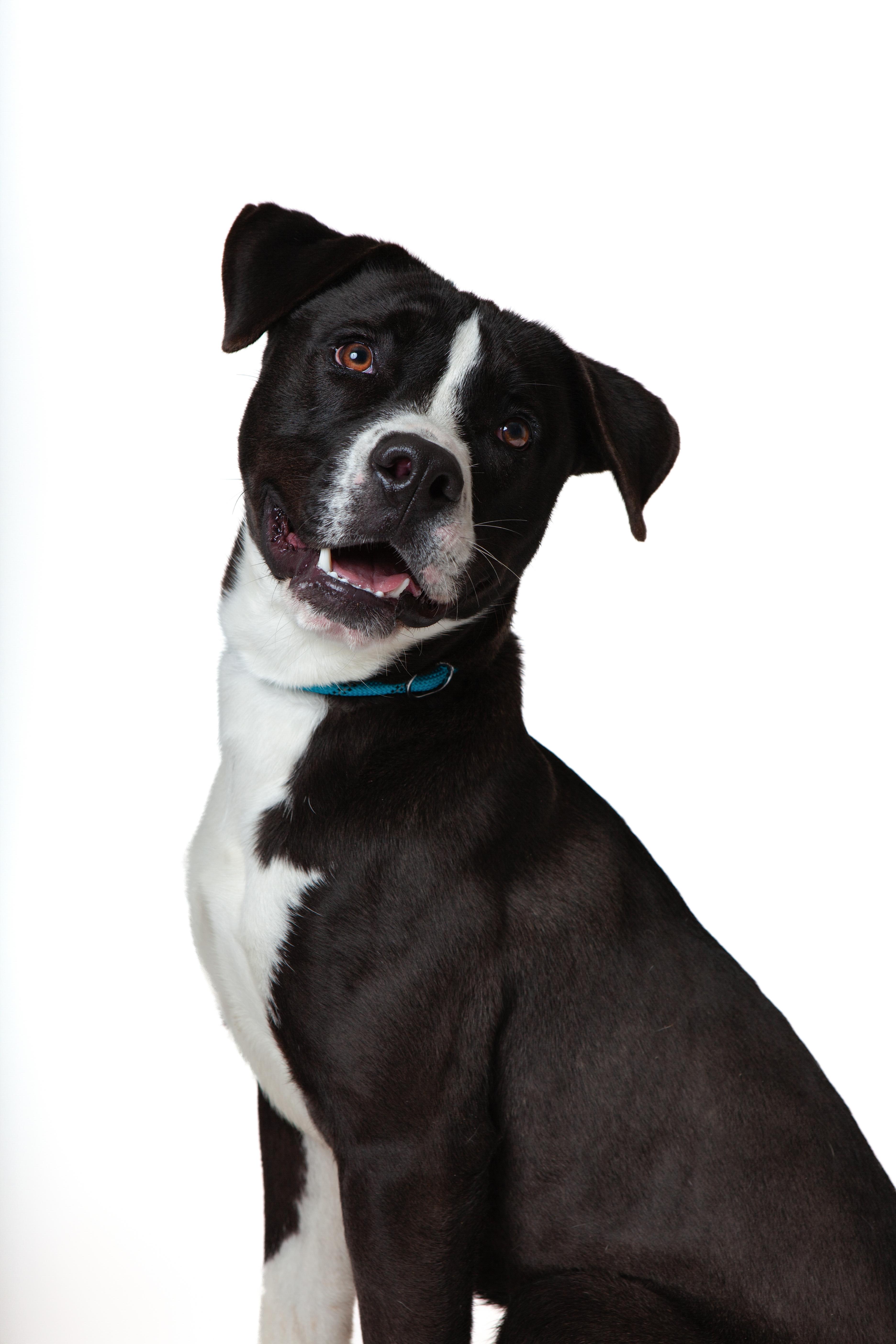 Heimdall thumbnail 2