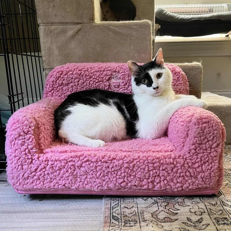 Benjamin Beans  Incontinent