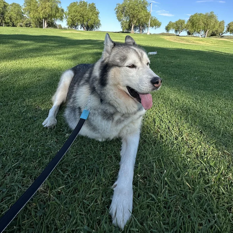 Hudson
