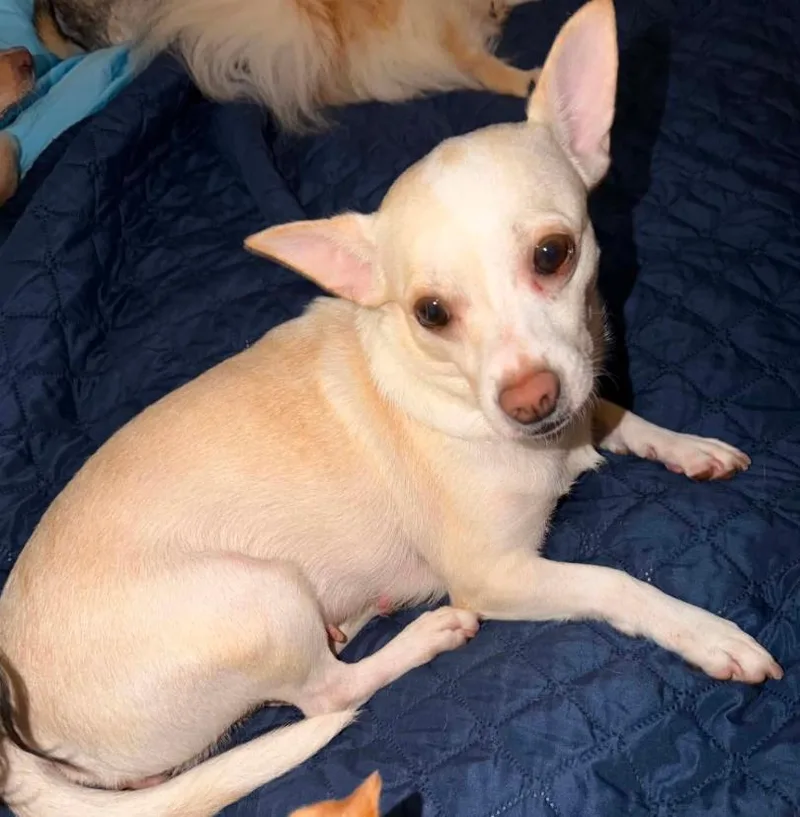 Evie In Tx thumbnail 3