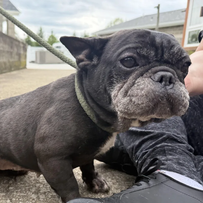 Fiona thumbnail 3
